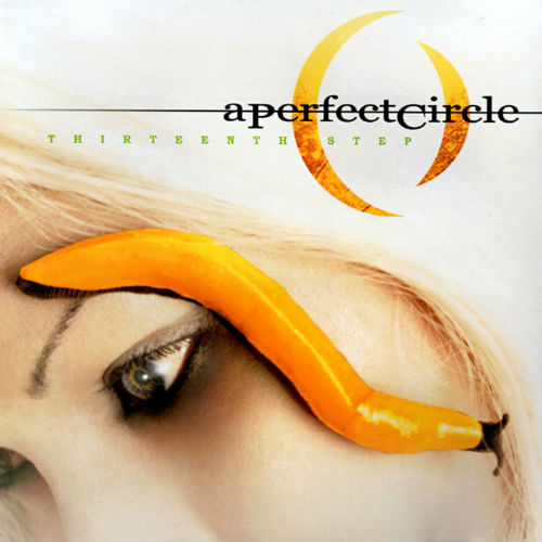 A Perfect Circle - Thirteenth Step (Japanese Edition) (2003)