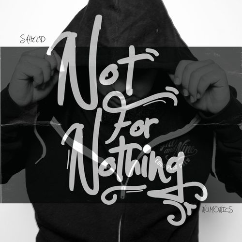 Saheed & Numonics - Not For Nothing (2013)
